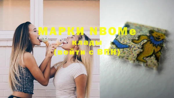 прущие грибы Новодвинск