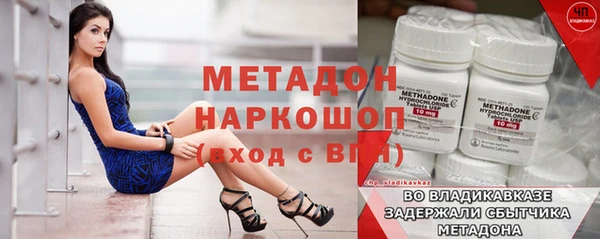 прущие грибы Новодвинск