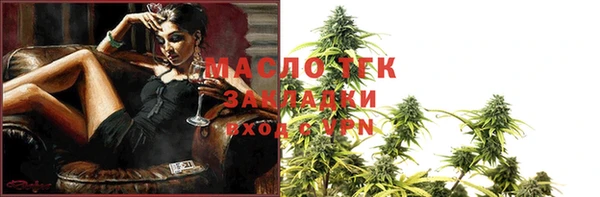 прущие грибы Новодвинск