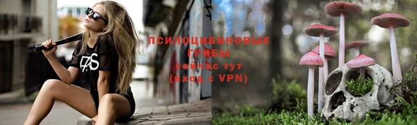 метадон Новозыбков