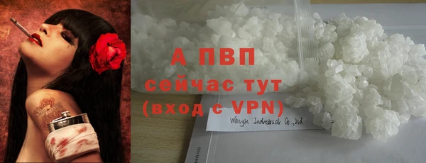 твердый Новокубанск