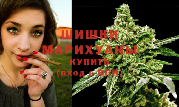 твердый Новокубанск