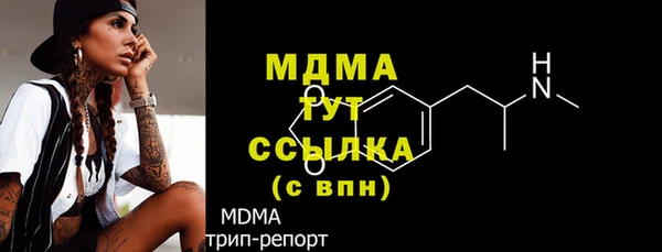 прущие грибы Новодвинск