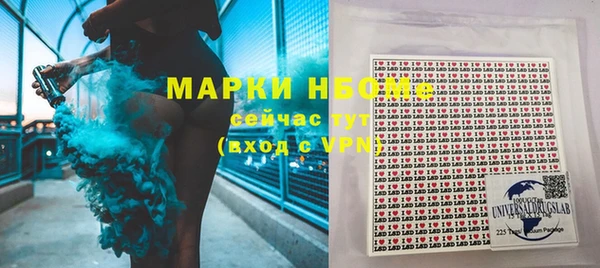 прущие грибы Новодвинск