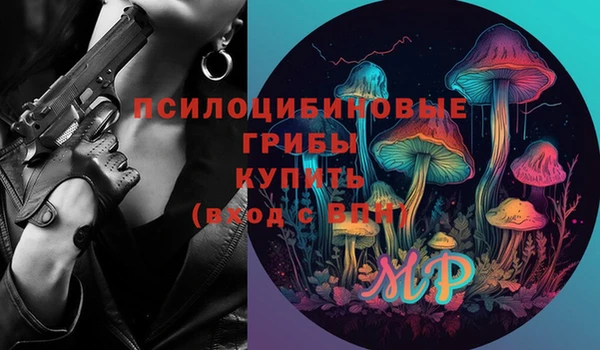 прущие грибы Новодвинск