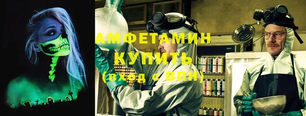 прущие грибы Новодвинск