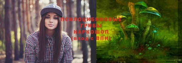 метадон Новозыбков