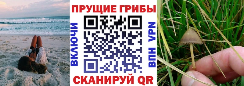 купить закладку  Яровое  Галлюциногенные грибы мухоморы 